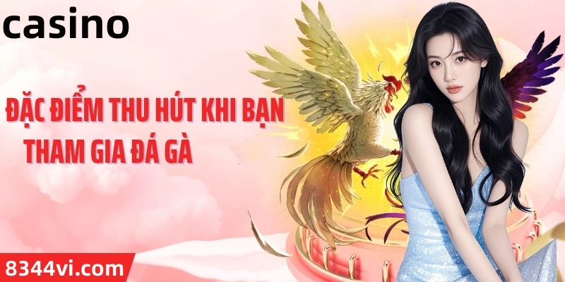 Hình ảnh quảng cáo của sonclub hiển thị nền tảng và các lợi ích