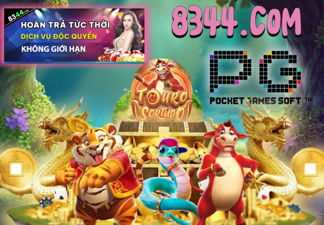 Hình ảnh quảng cáo của sonclub hiển thị nền tảng và các lợi ích